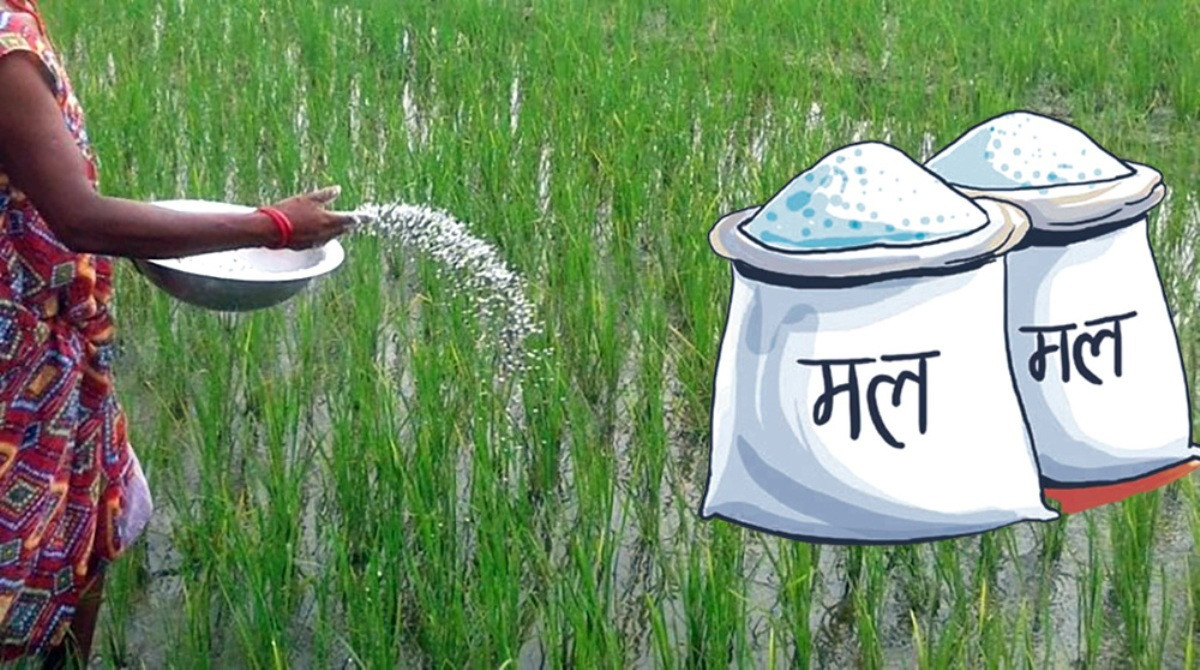 ‘ड्यामेज’ डीएपी आधा मूल्यमा बिक्री, मन्त्रीको आश्वासनमा संशय