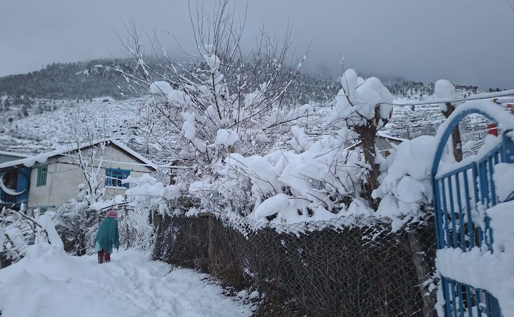 हिमाली–पहाडी क्षेत्रमा व्यापक हिमपात, सडक र हवाई सेवा प्रभावित, किसानमा भने खुसी